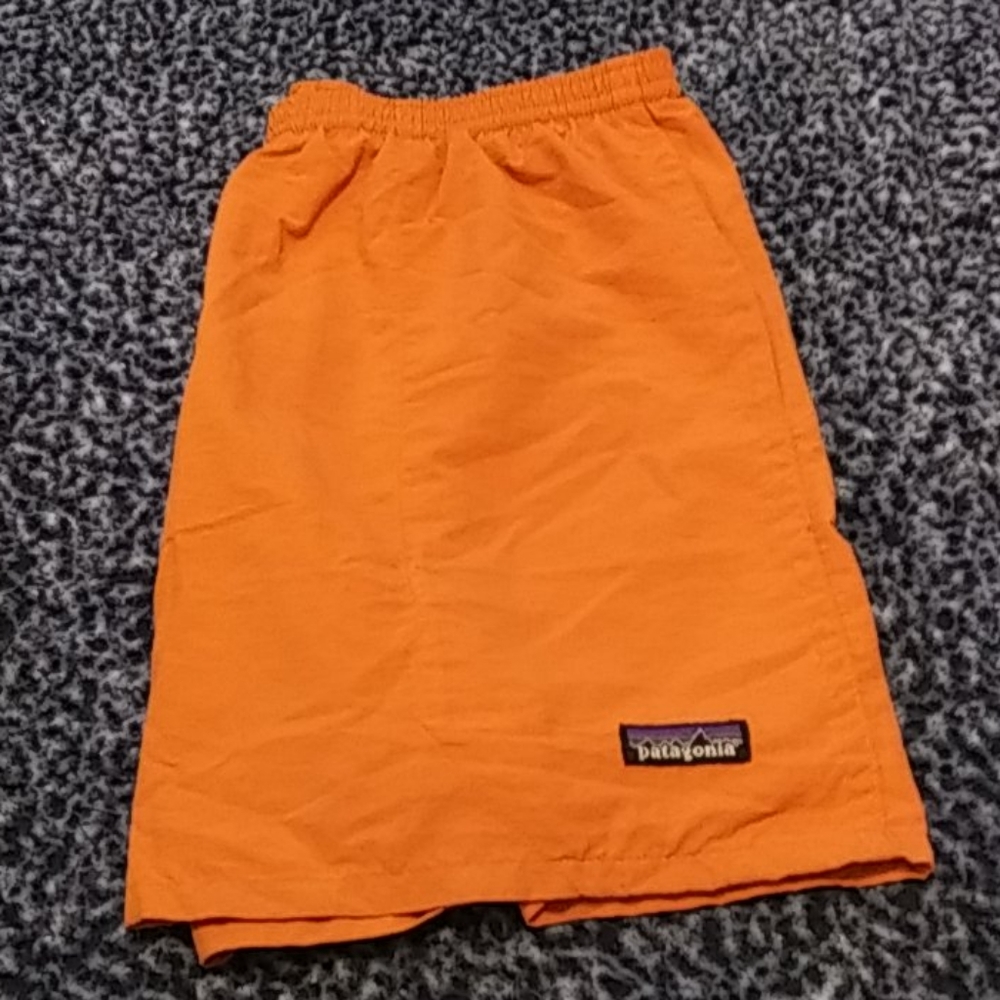 Patagonia Swim Trunks